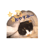 日常 (あいさつ  返事)（個別スタンプ：2）