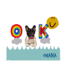 OHANA...STAMP（個別スタンプ：3）