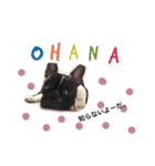 OHANA...STAMP（個別スタンプ：8）