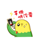 Parrot Mr.Mango ＆ Miss Apple's daily（個別スタンプ：18）