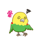 Parrot Mr.Mango ＆ Miss Apple's daily（個別スタンプ：33）