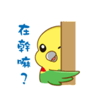 Parrot Mr.Mango ＆ Miss Apple's daily（個別スタンプ：35）