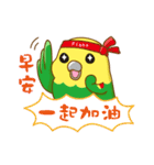 Parrot Mr.Mango ＆ Miss Apple's daily（個別スタンプ：37）