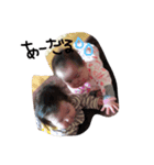 みちみれすたんぷ（個別スタンプ：3）