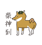 Shiba-inu brings you a fortune.（個別スタンプ：2）