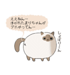 おならで喋るねこ（まりちゃん）（個別スタンプ：21）