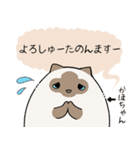 おならで喋るねこ（かほちゃん）（個別スタンプ：24）