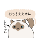 おならで喋るねこ（しんちゃん）（個別スタンプ：8）