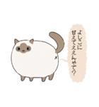 おならで喋るねこ（よしこ）（個別スタンプ：1）