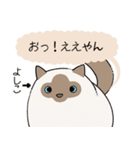 おならで喋るねこ（よしこ）（個別スタンプ：8）