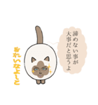 おならで喋るねこ（よしこ）（個別スタンプ：38）