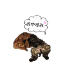 E.Cocker Spaniel HERB LIFE 2（個別スタンプ：4）