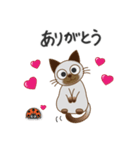 可愛いシャム猫 by マサユミ（個別スタンプ：3）