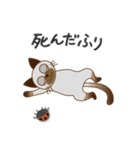 可愛いシャム猫 by マサユミ（個別スタンプ：36）