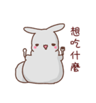 gray cute bunny（個別スタンプ：4）