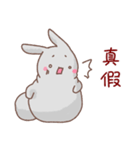 gray cute bunny（個別スタンプ：31）