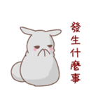 gray cute bunny（個別スタンプ：36）