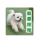 Taiwan happy dog 2（個別スタンプ：10）