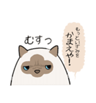 おならで喋るねこ（いずみ）（個別スタンプ：20）