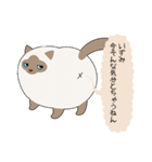 おならで喋るねこ（いずみ）（個別スタンプ：22）