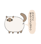 おならで喋るねこ（ひかり）（個別スタンプ：1）