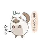 おならで喋るねこ（ひかり）（個別スタンプ：4）