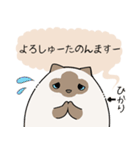 おならで喋るねこ（ひかり）（個別スタンプ：24）