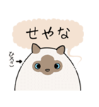 おならで喋るねこ（ひろこ）（個別スタンプ：3）