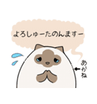 おならで喋るねこ（あかね）（個別スタンプ：24）