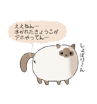 おならで喋るねこ（きょうこ）（個別スタンプ：21）