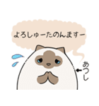 おならで喋るねこ（あつし）（個別スタンプ：24）