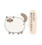 おならで喋るねこ（かれん）（個別スタンプ：1）