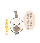 おならで喋るねこ（かれん）（個別スタンプ：38）