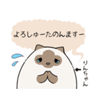 おならで喋るねこ（りんちゃん）（個別スタンプ：24）