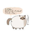 おならで喋るねこ（みっちゃん）（個別スタンプ：21）