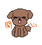 Poodle Ball Ball（個別スタンプ：1）