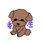 Poodle Ball Ball（個別スタンプ：2）