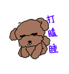 Poodle Ball Ball（個別スタンプ：6）