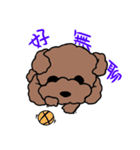 Poodle Ball Ball（個別スタンプ：8）