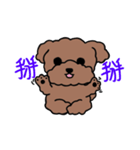 Poodle Ball Ball（個別スタンプ：12）