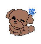 Poodle Ball Ball（個別スタンプ：13）