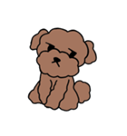 Poodle Ball Ball（個別スタンプ：17）