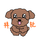 Poodle Ball Ball（個別スタンプ：22）