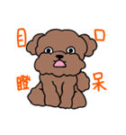 Poodle Ball Ball（個別スタンプ：24）