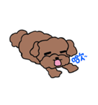 Poodle Ball Ball（個別スタンプ：27）