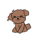 Poodle Ball Ball（個別スタンプ：28）