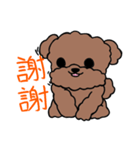 Poodle Ball Ball（個別スタンプ：32）