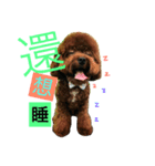 baby dog two（個別スタンプ：3）