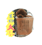 baby dog two（個別スタンプ：4）