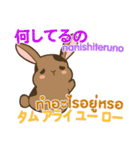 ウサギ タイ語勉強しよう 日本語タイ語（個別スタンプ：33）